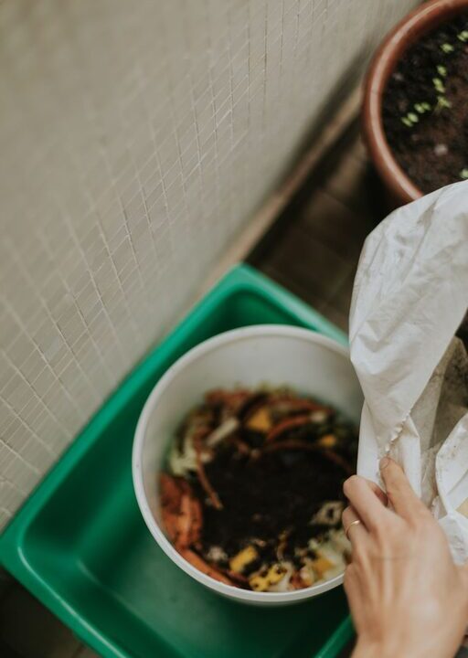 Simple Ways to Reduce Food Waste at Home