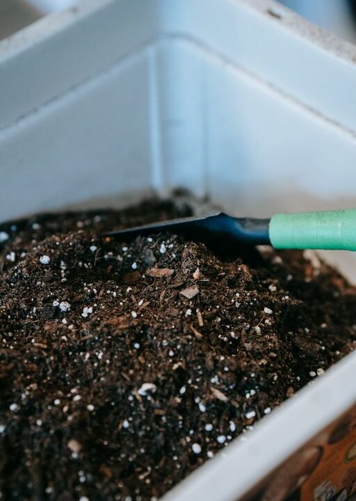 Beginner Tips for Composting at Home: Easy Steps to Get Started